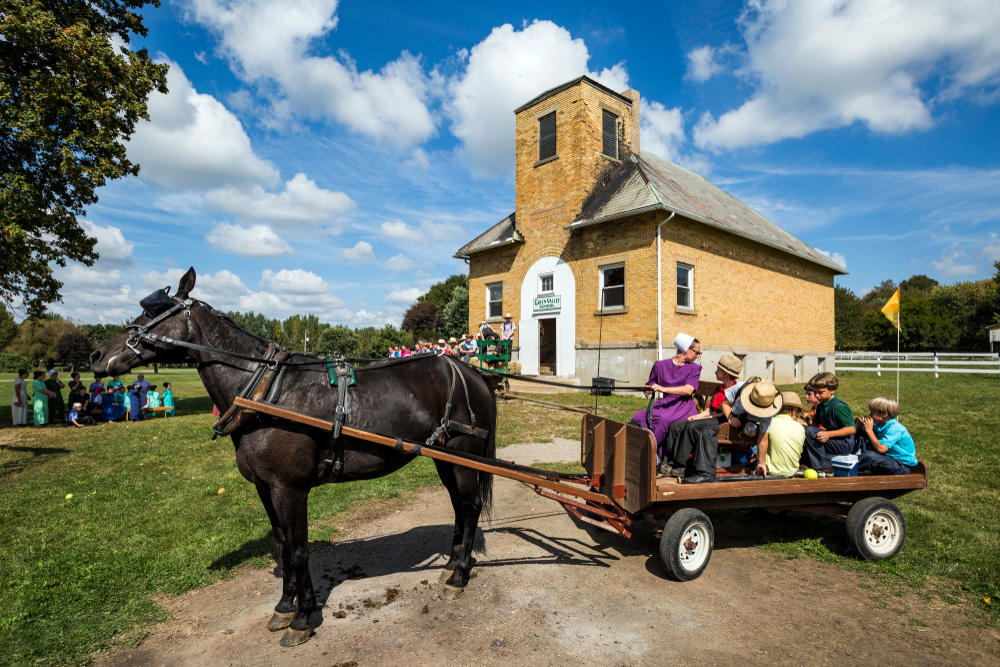What is an Amish wedding like